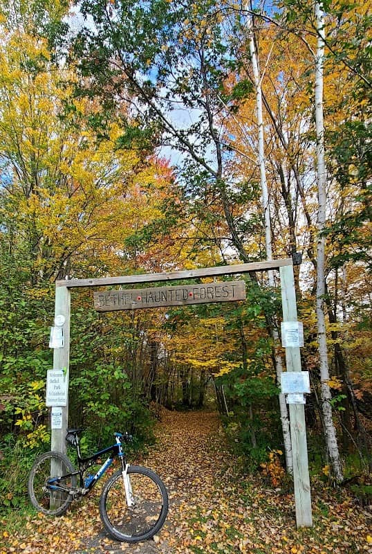 Bethel Haunted Forest - Image 1