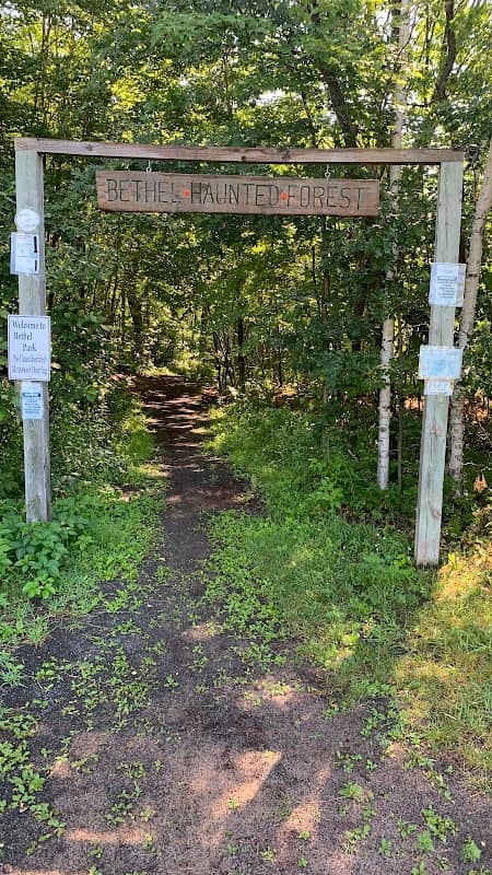 Bethel Haunted Forest - Image 2