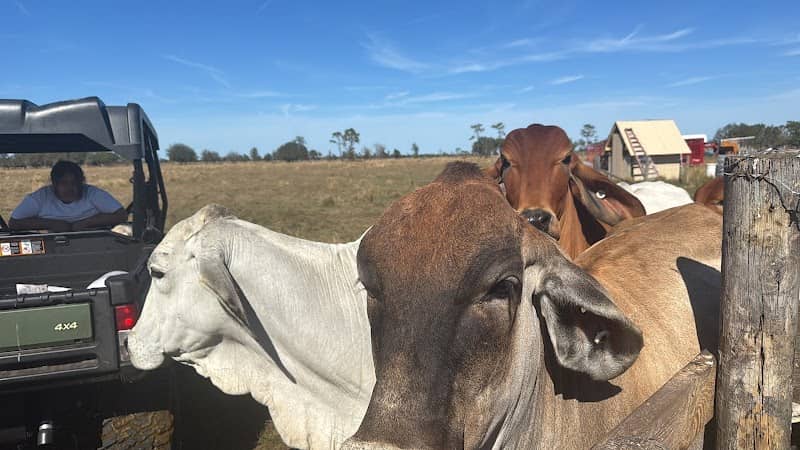 NBU RANCH - Image 1