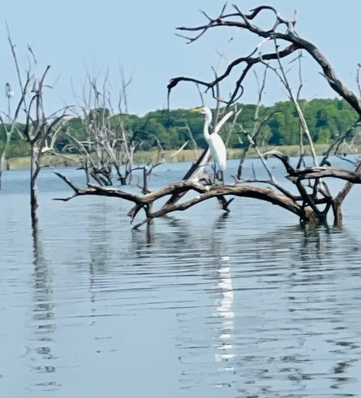 Rowlett Park - Image 1
