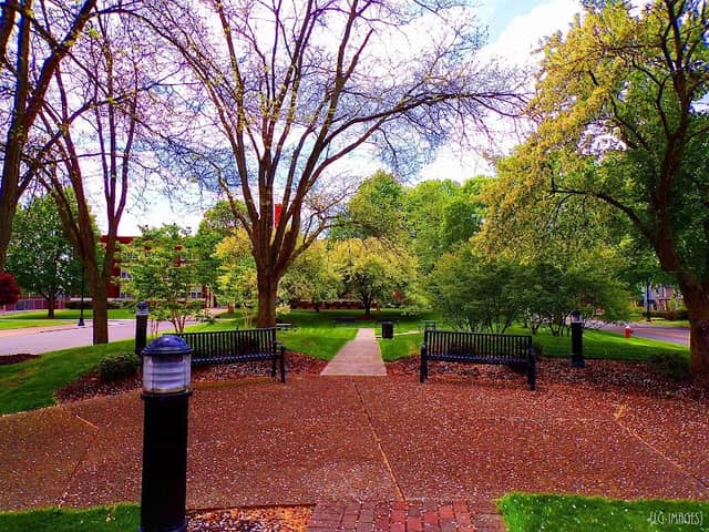 Triangle Park - Image 1