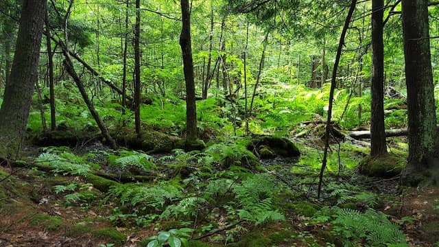 Denton Sanctuary - Image 1