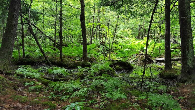 Denton Sanctuary - Image 1