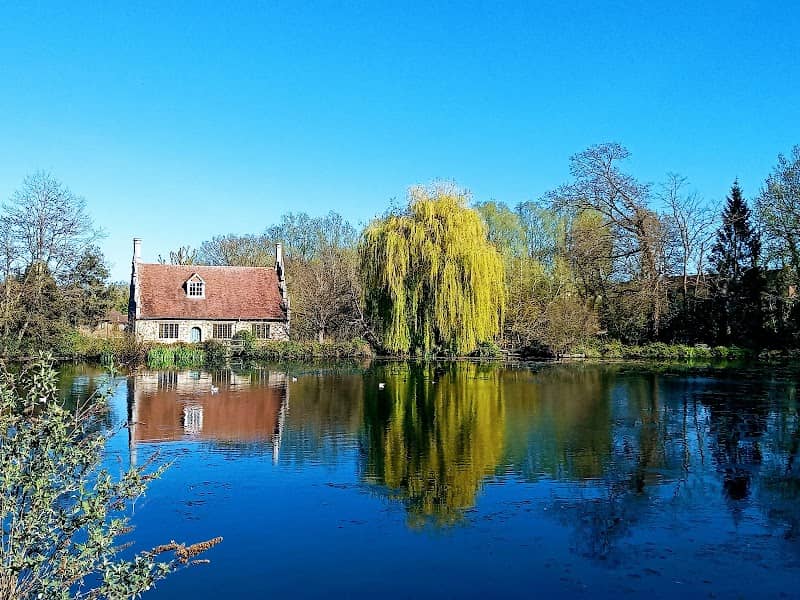 Bourne Valley Local Wildlife Site - Image 2