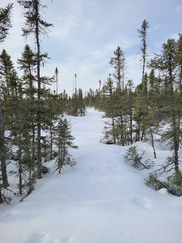 Wawina Peatland Scientific and Natural Area - Image 1