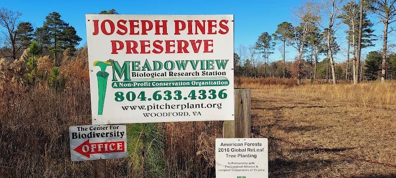 Joseph Pines Preserve - Image 2