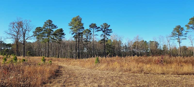 Joseph Pines Preserve - Image 1