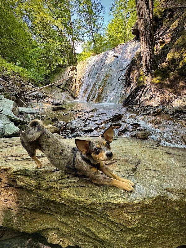 Upper Crossett Brook Falls - Image 1
