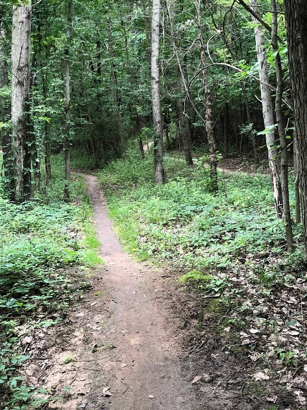Alma Mountain Bike Trail - Image 2