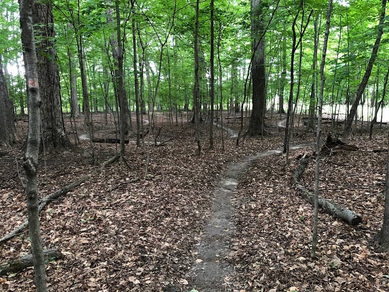 Alma Mountain Bike Trail - Image 3