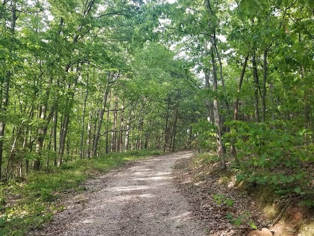 Nanny’s Mountain Trailhead - Image 2