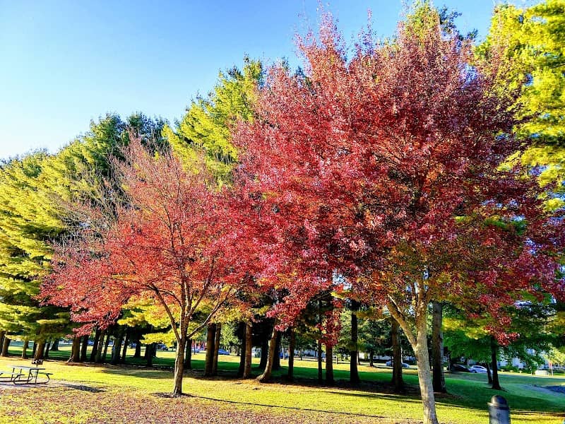 William A. Bush Park - Image 2