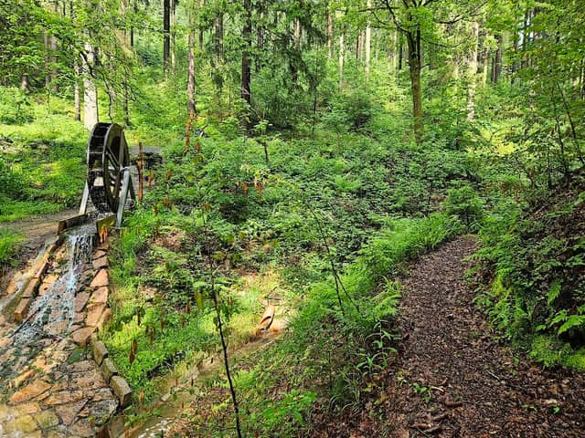 Wasserrad am Flossgraben - Image 1