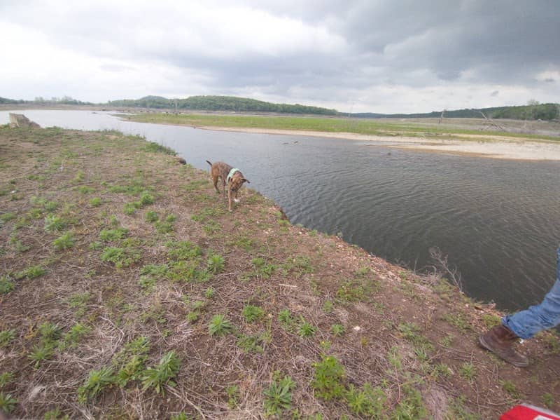 Bull Shoals Lake Parks - Image 2