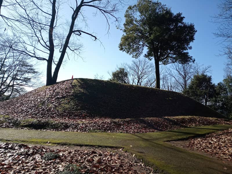 Ōzan Kofun Cluster - Image 1