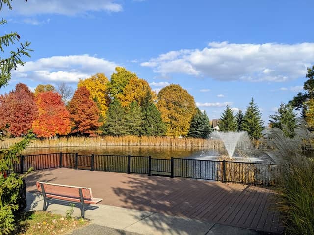 City Central Park - Image 2