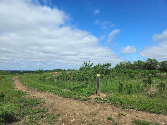 Skyline Park (Burnett's Mound) - Image 2
