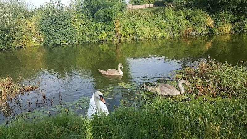 Hay Park - Image 2
