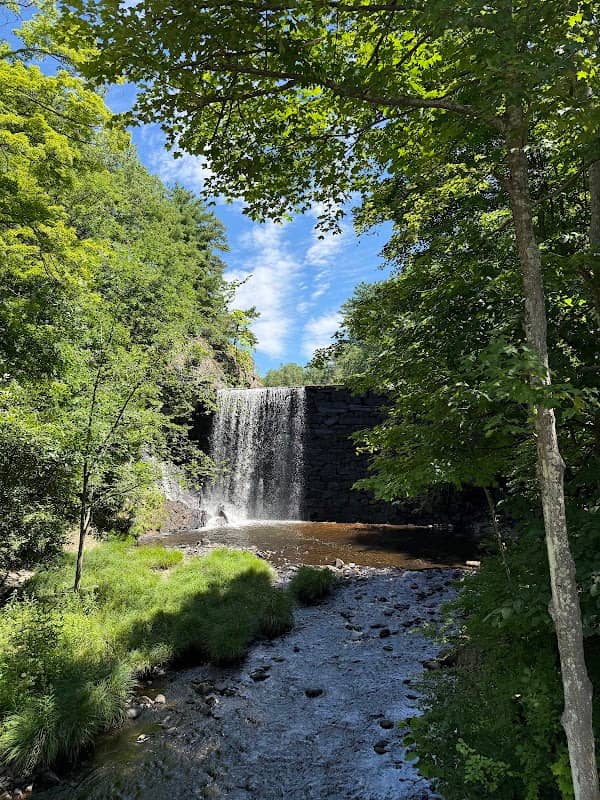Puffers Falls - Image 1
