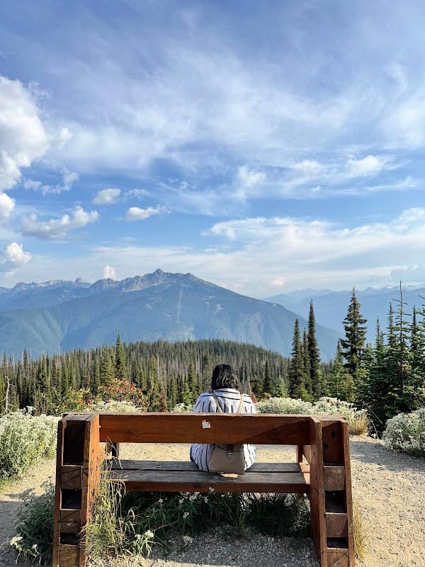 Monashee Viewpoint - Image 2