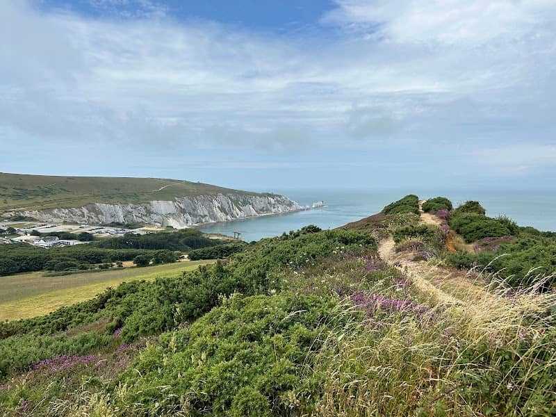 Headon Warren National Trust - Image 1