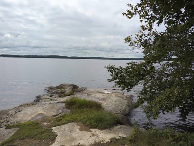 Salmon Point Trail - Image 1