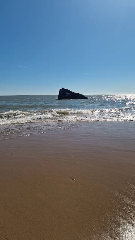 Plage de la Grande Côte - Image 3