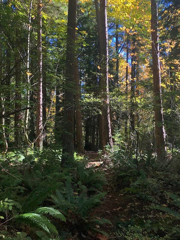 East Norway Hill Park - Image 3