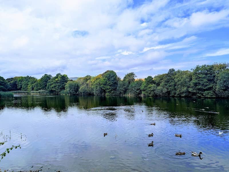Straiton Pond Local Nature Reserve - Image 2