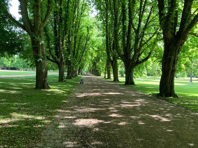 Herzogenried Park - Image 2