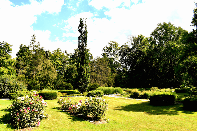Jackson's Garden - Image 2