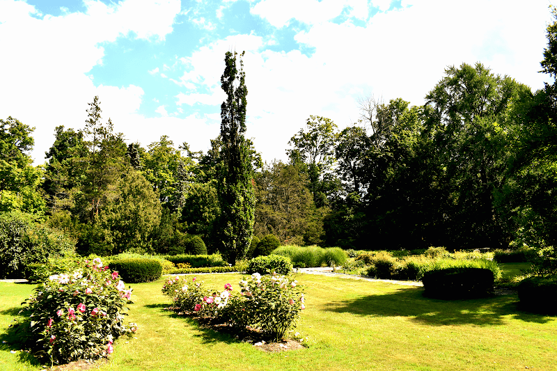 Jackson's Garden - Image 2
