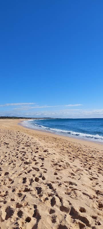 Coila Beach - Image 2