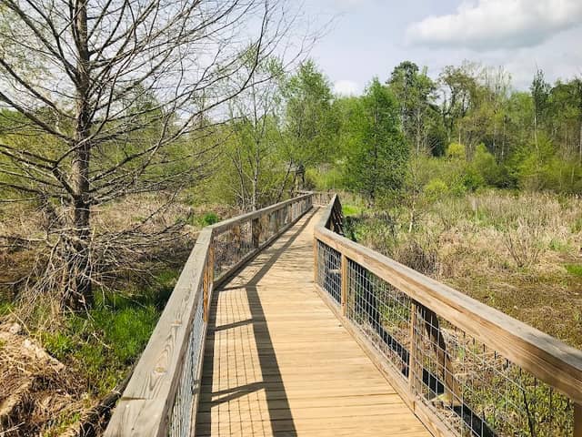 Cottonwood Trail in South Carolina - Image 1