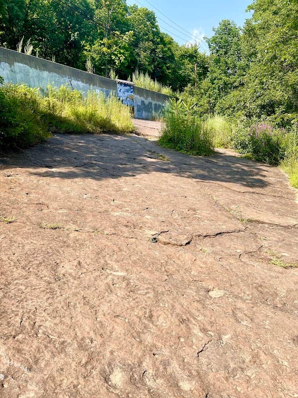 Dinosaur Footprints - Image 1