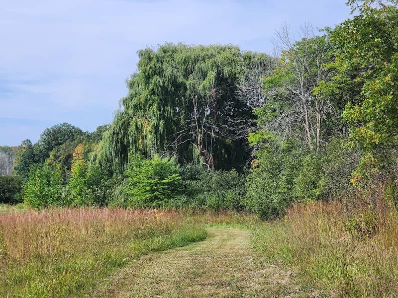 Swan Road Prairie - Image 1