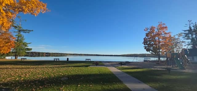 Tom May Memorial Park - Image 1
