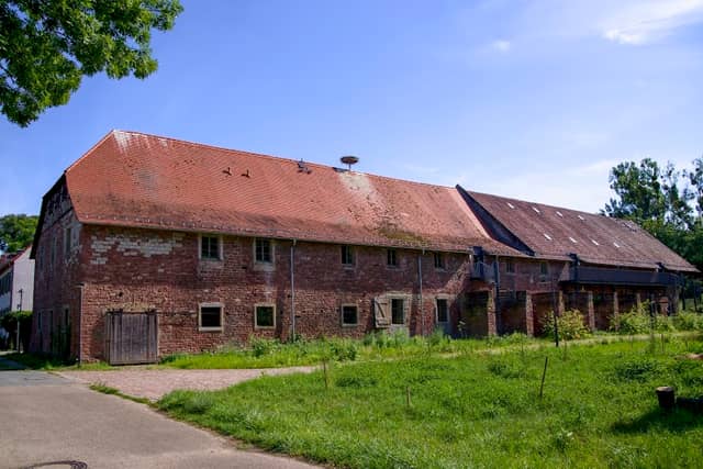 Umweltbildungszentrum Schatzinsel Kühkopf - Image 1