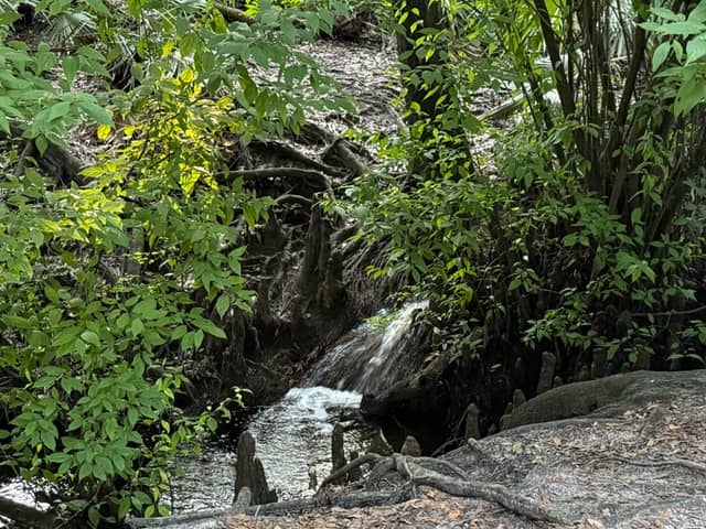 Casey’s Bridge - Image 2