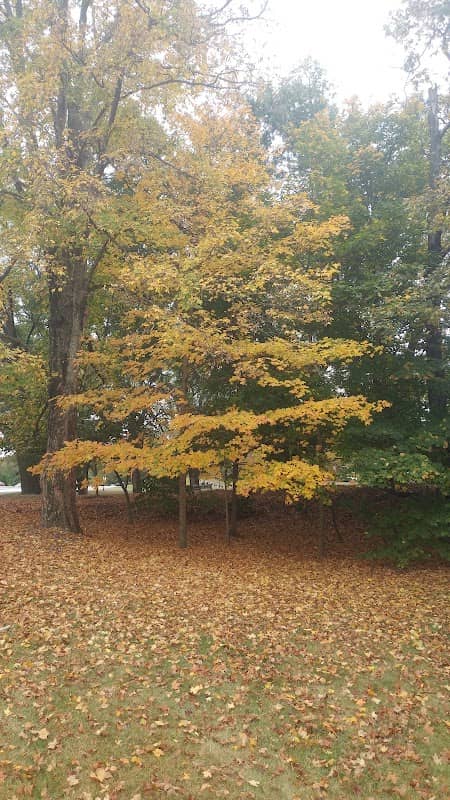 Marcia's Park - Image 1