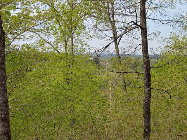 Orphan Brigade Battlefield Trailhead - Image 1