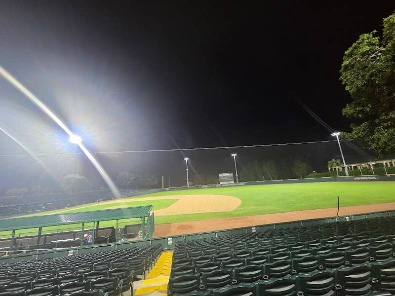 Holman Stadium - Image 1