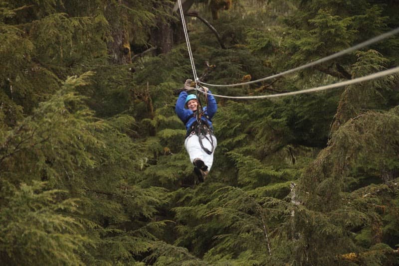 Alaska Canopy Adventures - Image 1