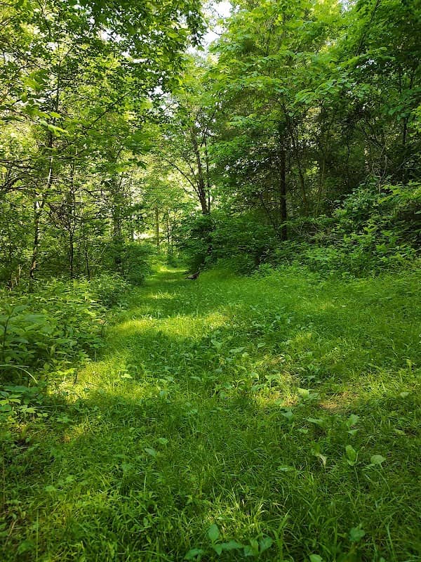 Morgan Conservation Park - Image 2
