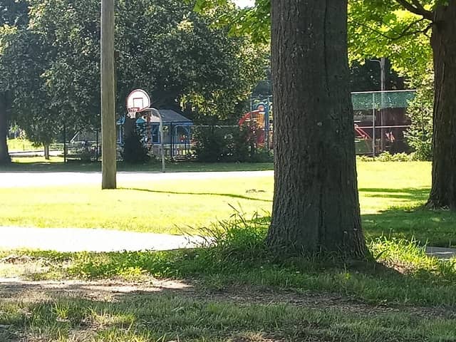 Park Bent - Image 1