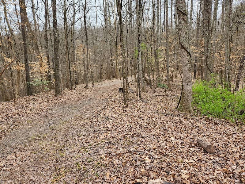 Caney Creek Recreation Area - Image 1