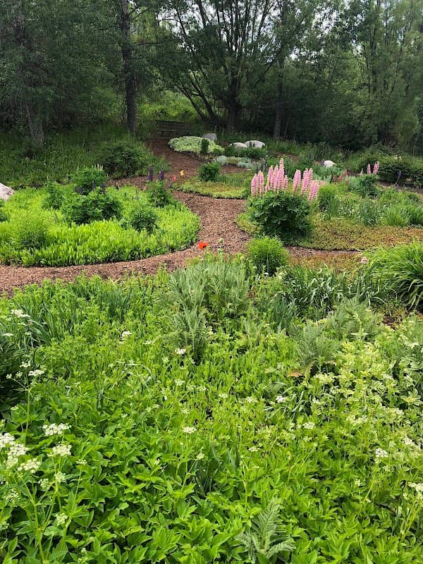 Ben Rawlins Garden - Image 1