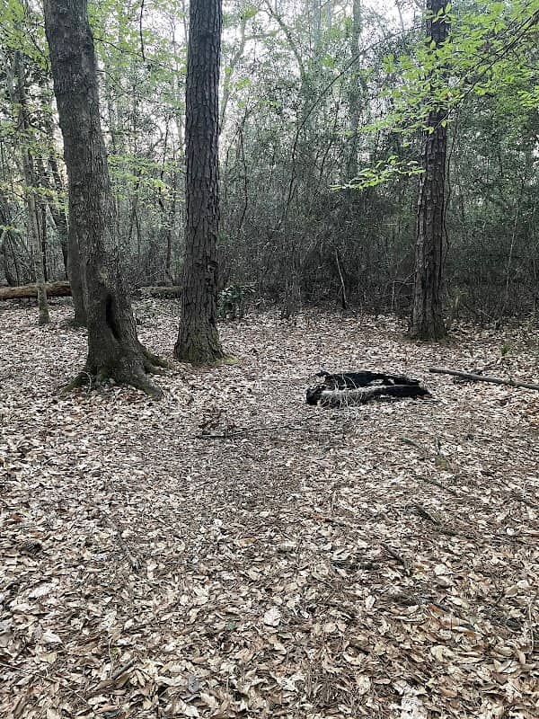 Turkey Creek Trail Campground - Image 1
