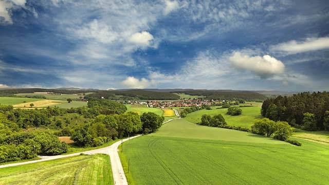 Steinsberger Forst - Image 1