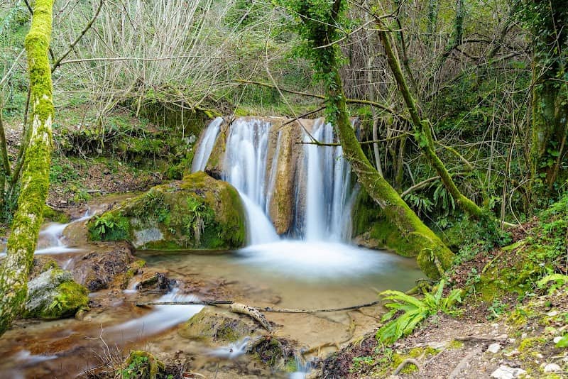 Garden of Five Senses - Image 1